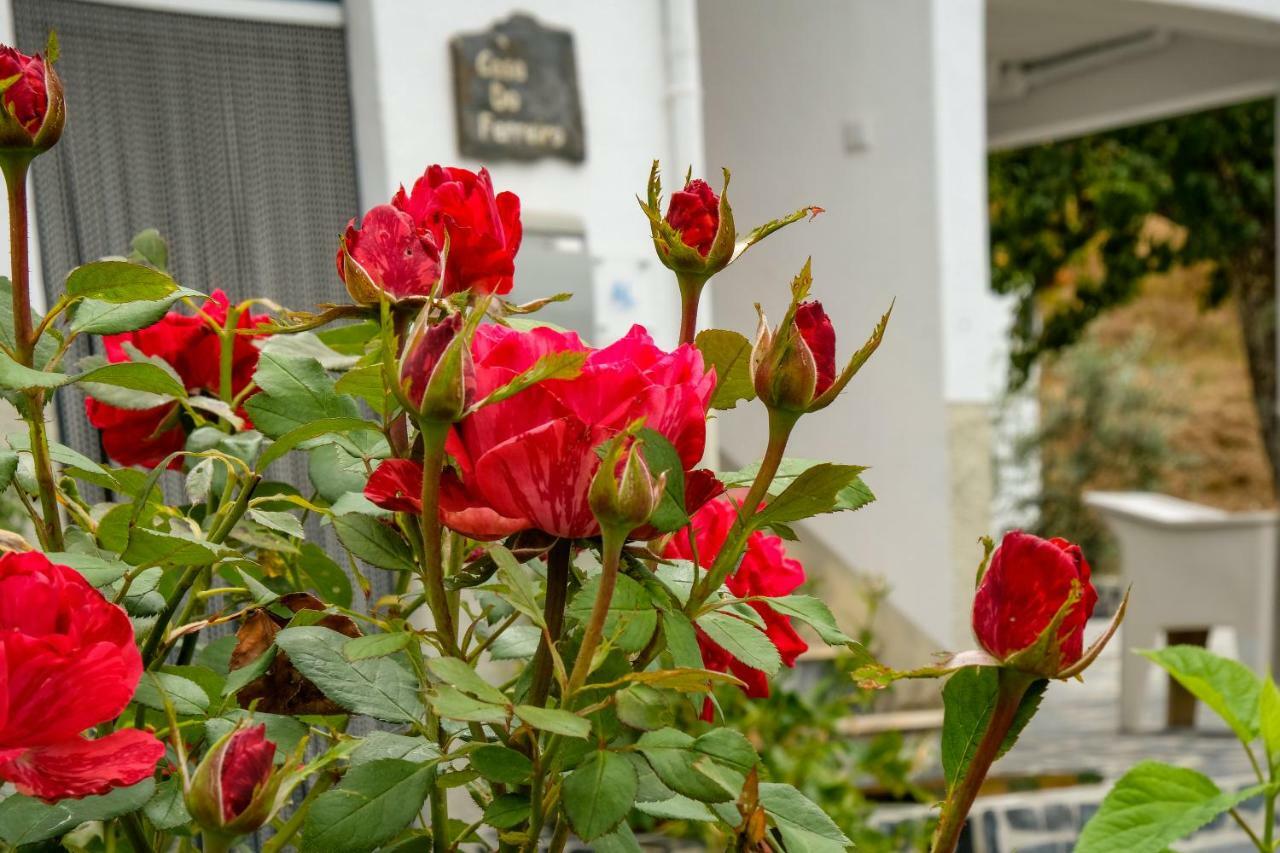 Holiday home Casa Do Ferreiro Gois
